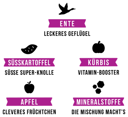 Trockenfutter Ente