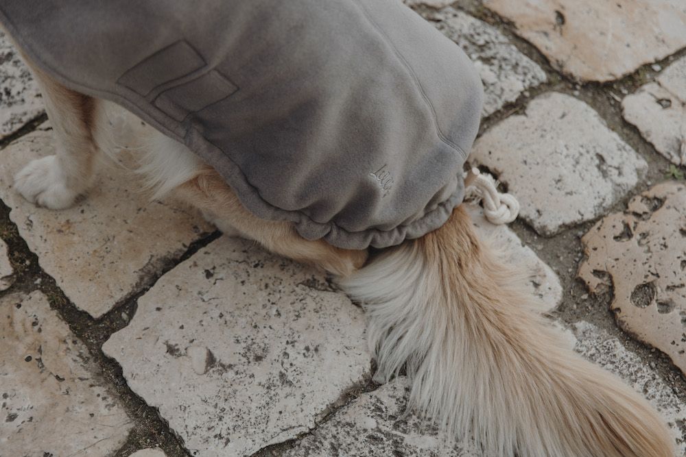 Hundepullover | Stone Grey