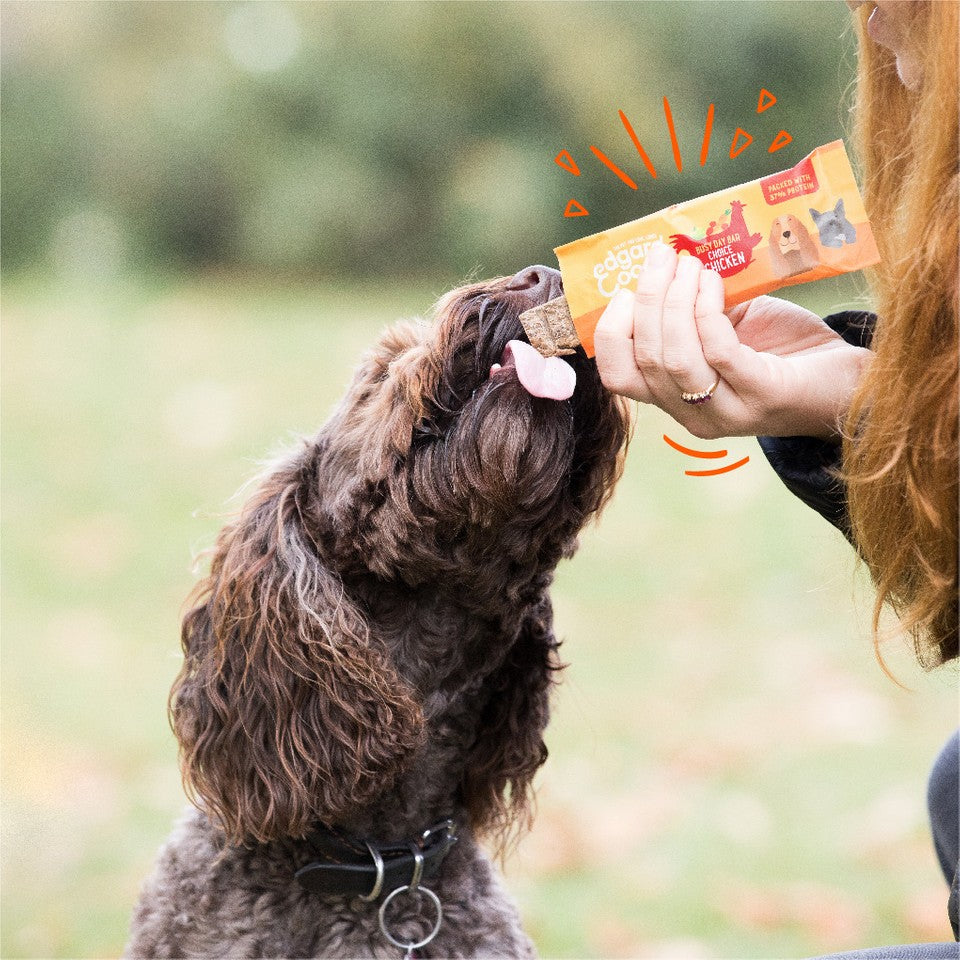 EdgardCooper Powerriegel Huhn Hund