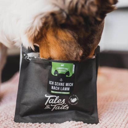 Kausnack Lammsehne von Tales & Tails Hund Packung