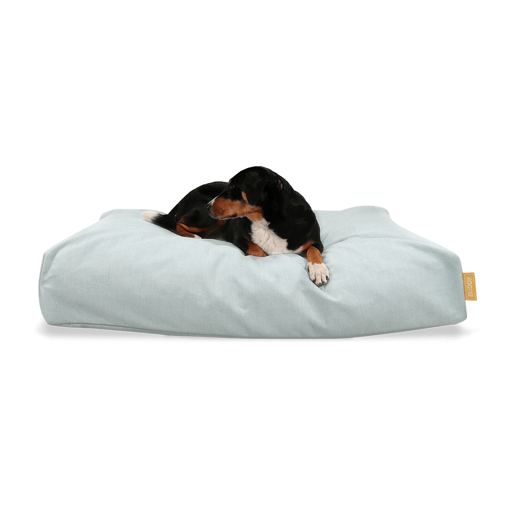 BUDDY Hundebett mint mit Hund