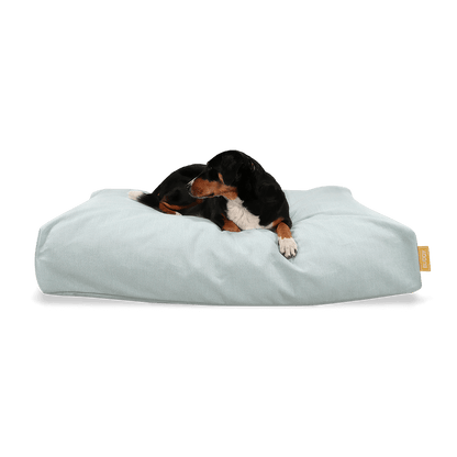 BUDDY Hundebett mint mit Hund