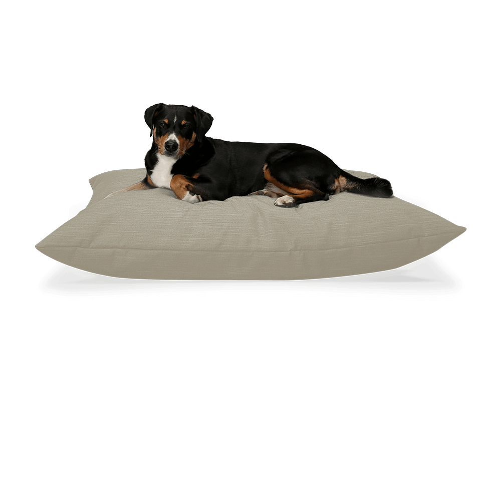 BUDDY Hundekissen beige mit Hund