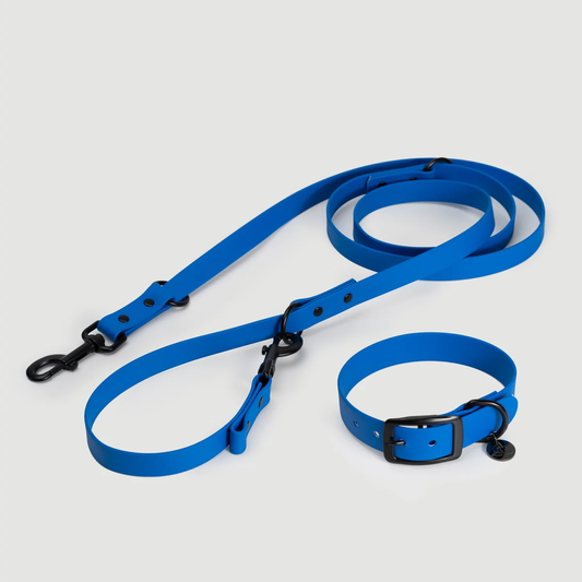 Biothane Set Halsband und Führleine blau