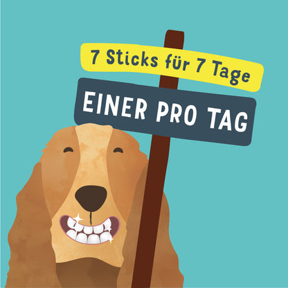Doggy Dental | Minze & Erdbeere