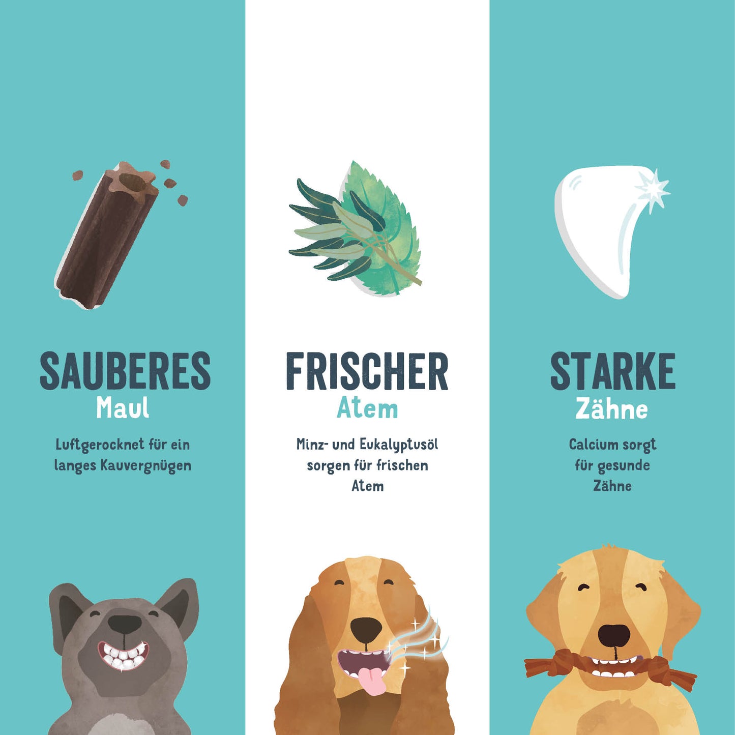 Doggy Dental | Minze & Erdbeere