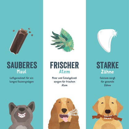 Doggy Dental | Minze & Erdbeere
