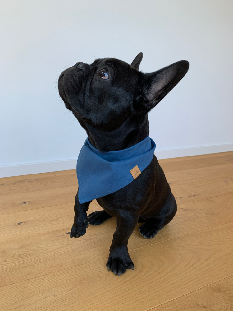Hundehalstuch blau mit Hund