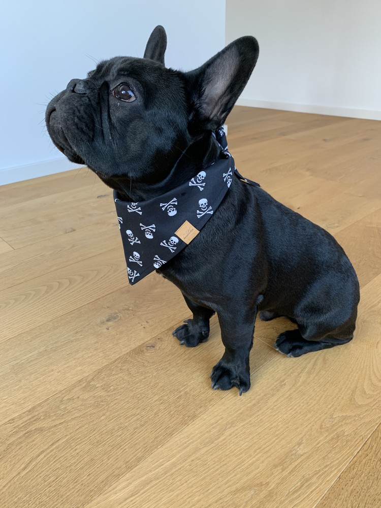 Hundehalstuch Gangster mit Hund