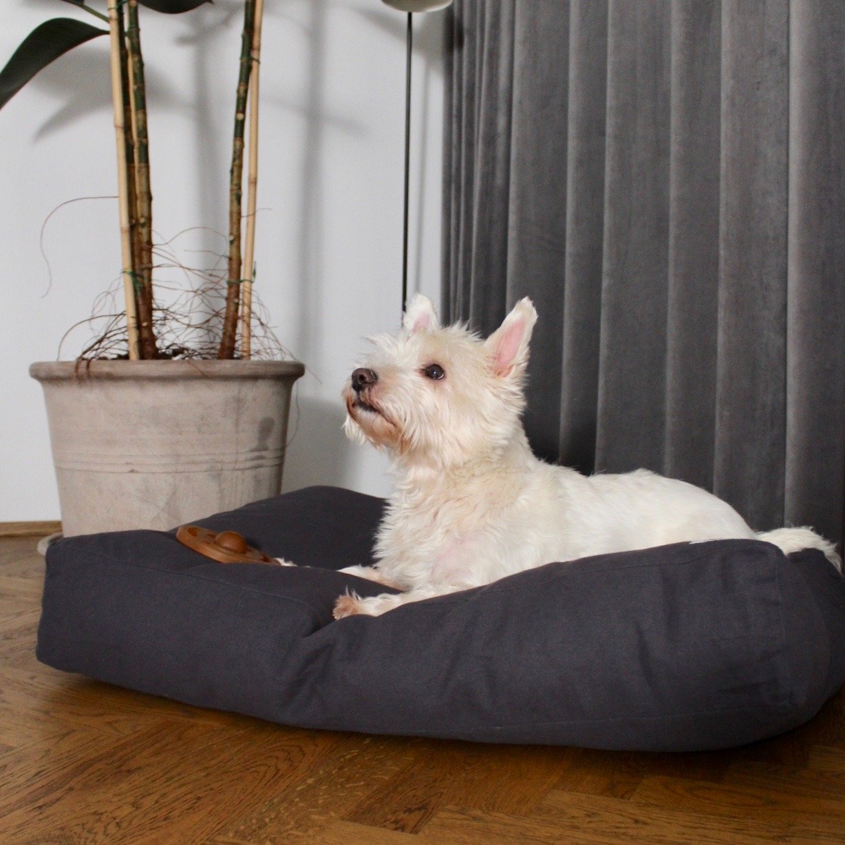 tadazhi Hundebett Tobine warm grey mit Hund