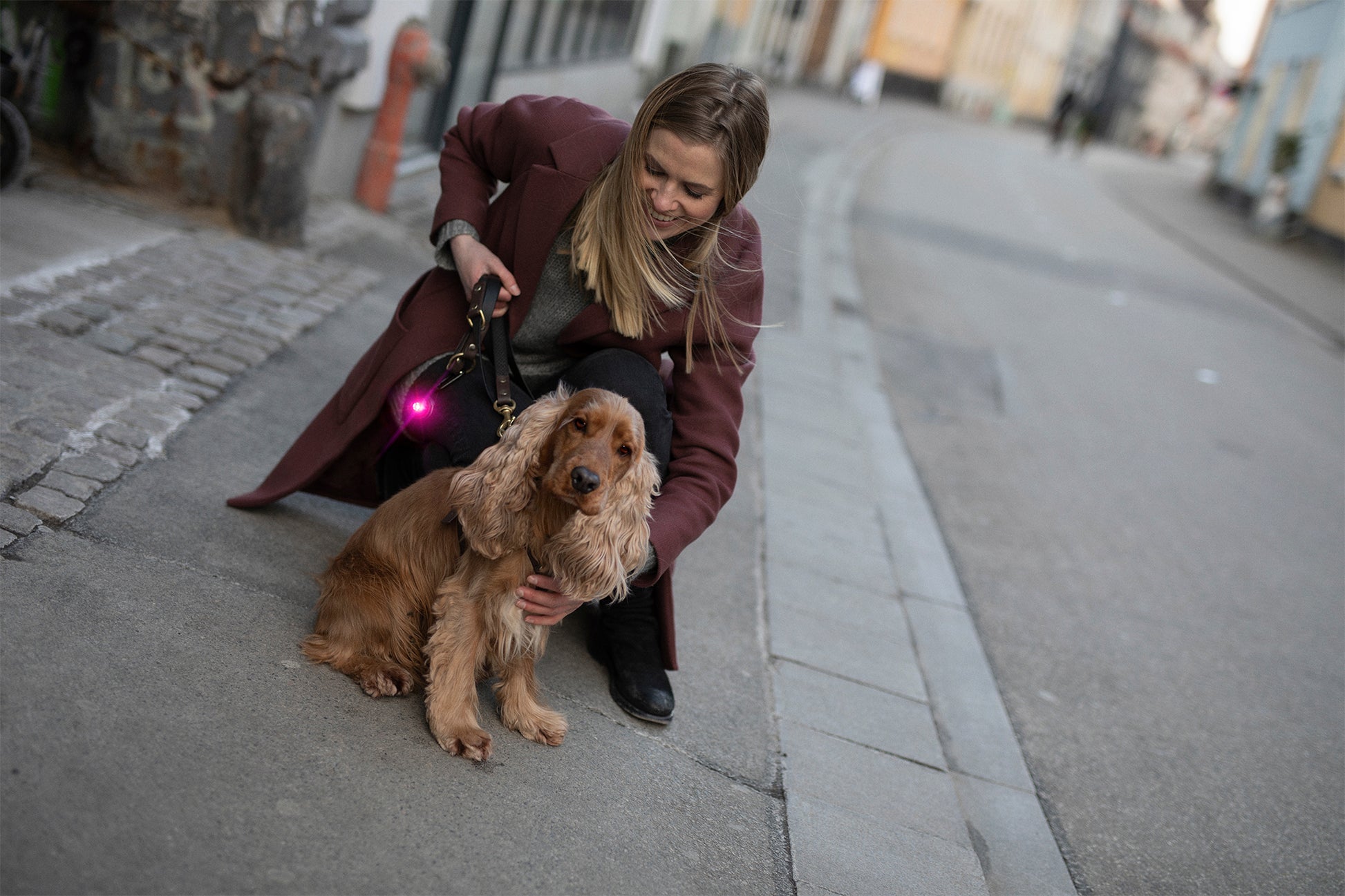 Orbiloc Dog Dual Pink Cocker Spaniel