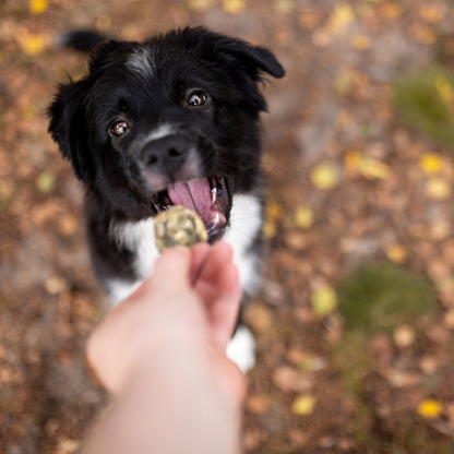 Tales & Tails Kabeljau Fischhaut Hundesnack mit Hunde