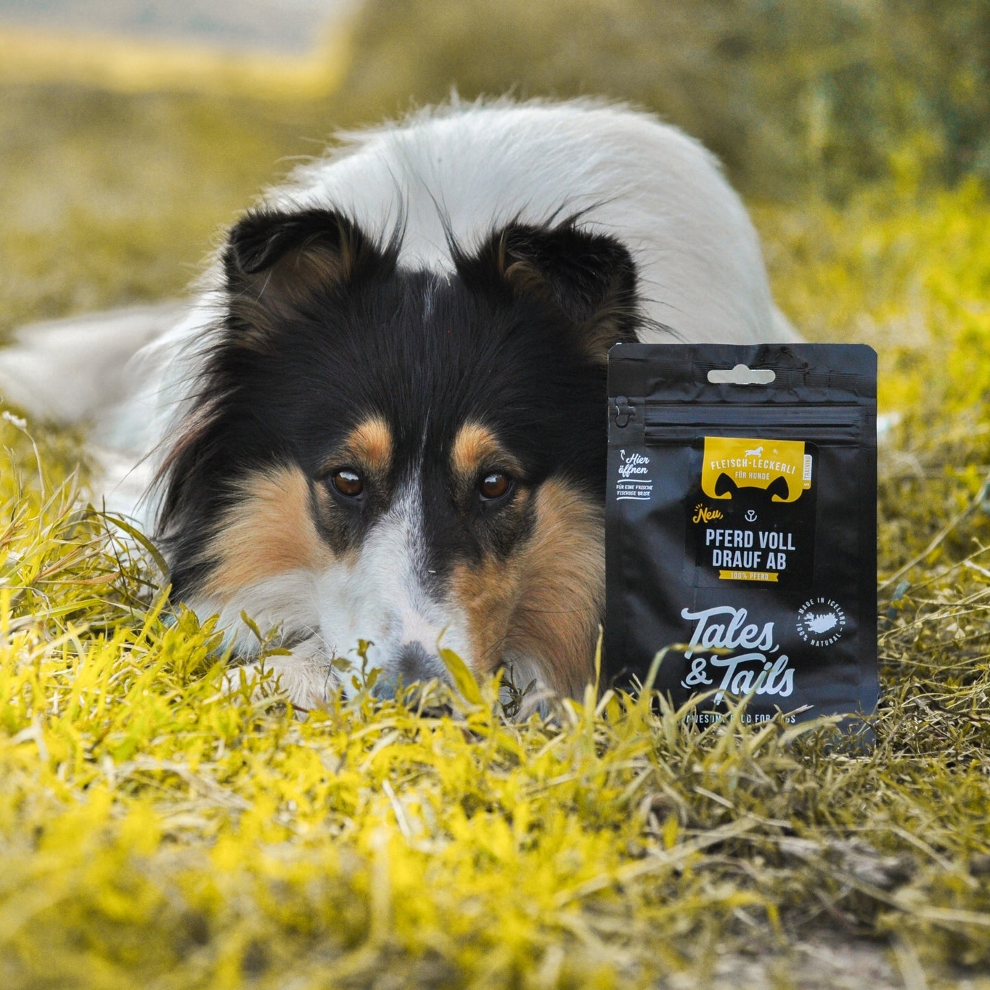 Tales & Tails Leckerli vom Pferd mit Hund