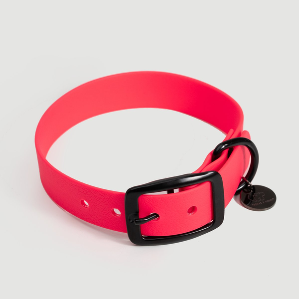 Biothane Hundehalsband | pink  DER DOG.STORE