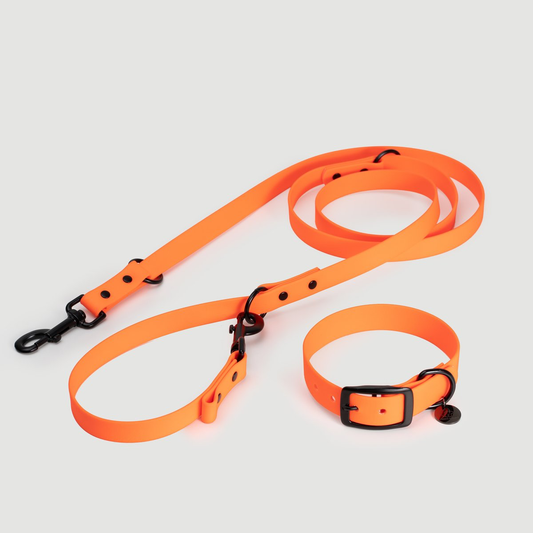 Biothane Set Halsband und Leine in orange von Thomas & Henry
