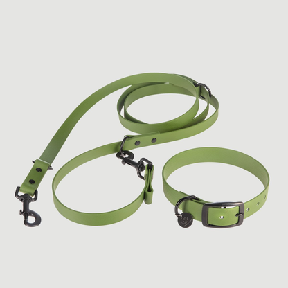 Biothane Set Halsband und Leine in olive von Thomas & Henry