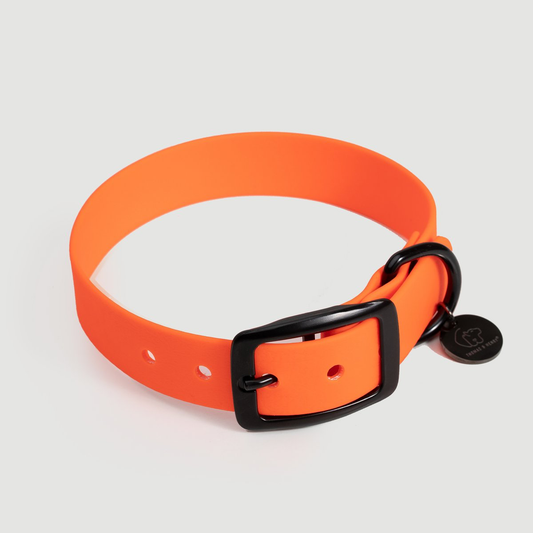 Biothane Hundehalsband orange